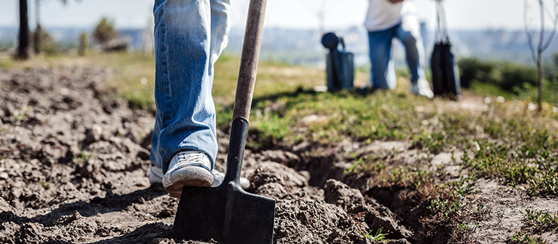 Planting-Tree