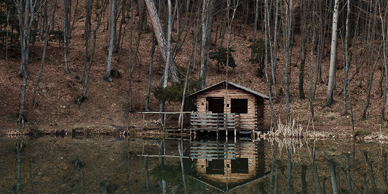 Cabin in Woods